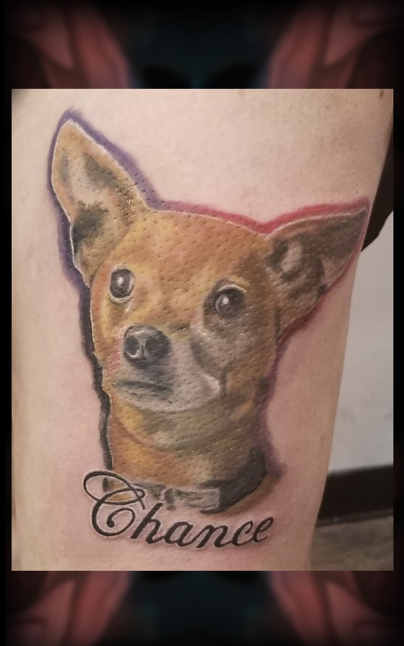 Dog tattoo