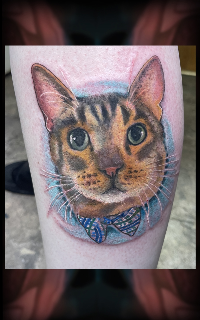 Cat tattoo